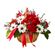 Утопия. Свежие белые хризантемы и ярко-красные гвоздики создают прекрасный контраст в этой восхитительной корзине.. Красноярск