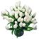 Белые тюльпаны. Тюльпаны - нежные, утонченные цветы для любителей весны и романтики. Сезон тюльпанов длится, как правило, с февраля по апрель. В остальное время их наличие ограничено, поэтому заказ лучше оформлять заранее.. Красноярск
